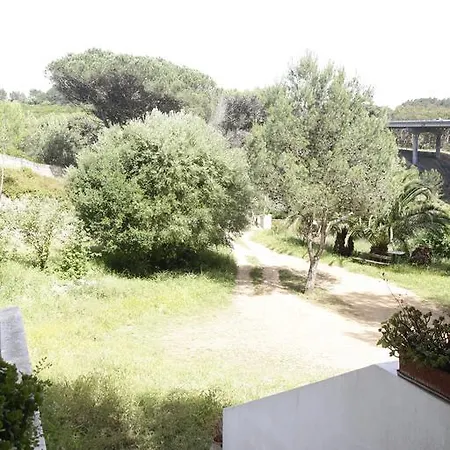 A Country House In The City