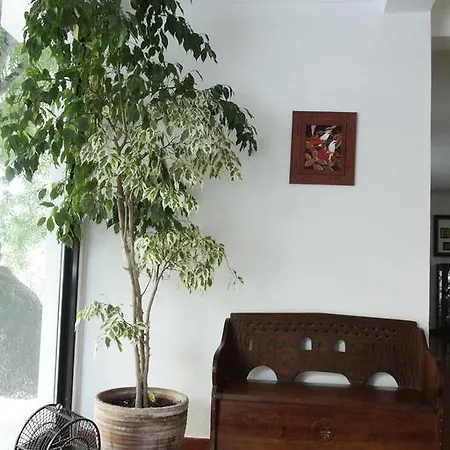 別荘 A Country House In The City *