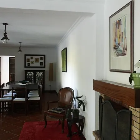 別荘 A Country House In The City